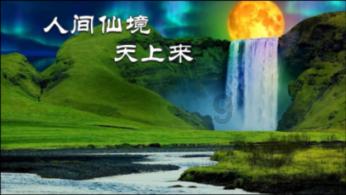 紫色系